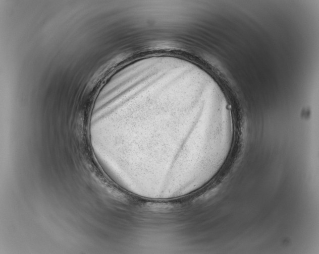 X0000112860825200909111506