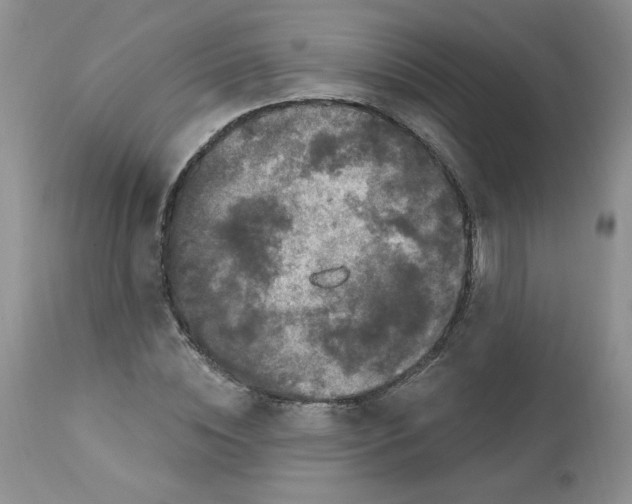 X0000112860828200909111506