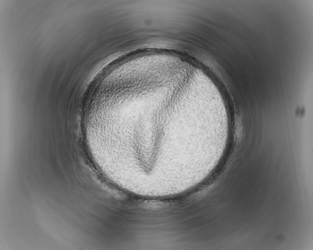 X0000112860829200909111506