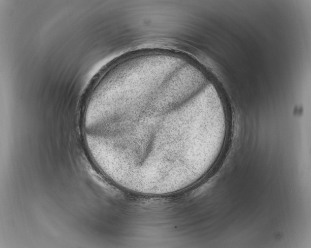 X0000112860830200909111506