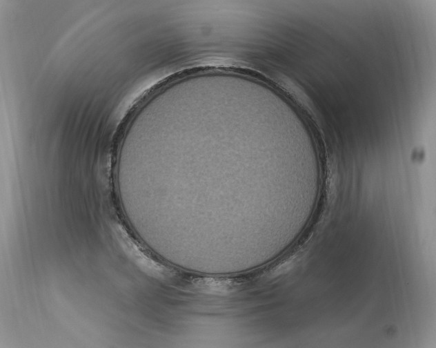 X0000112860831200909111506