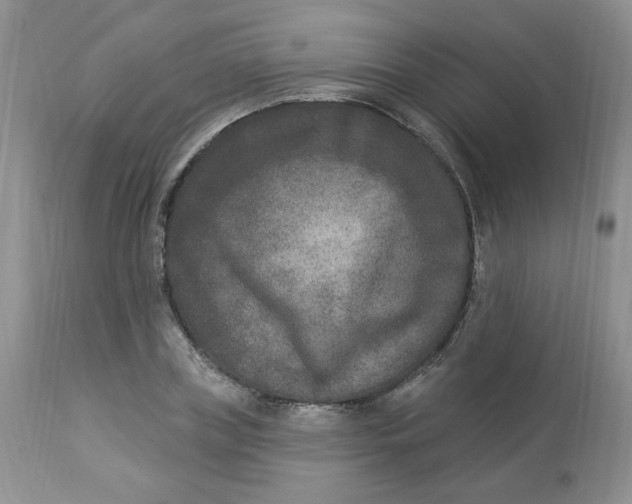 X0000112860835200909111506