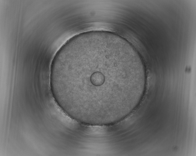 X0000112860836200909111507