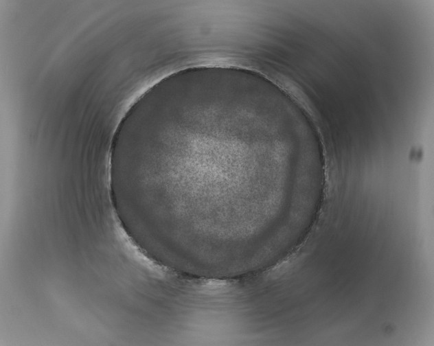 X0000112860839200909111507