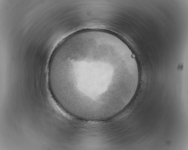 X0000112860840200909111507