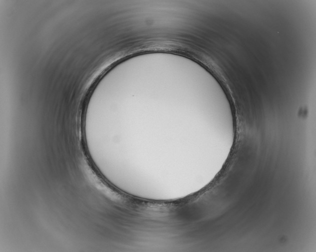 X0000112860843200909111507