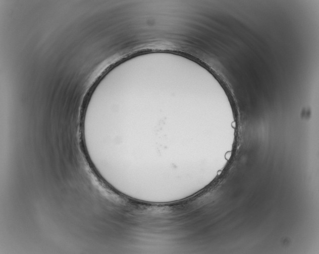 X0000112860845200909111507