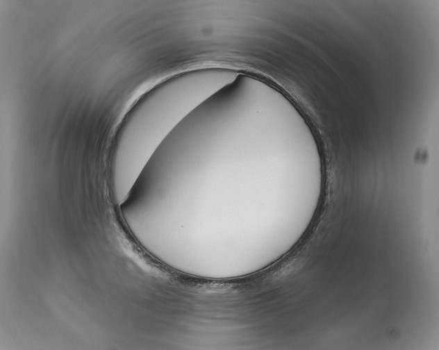 X0000112860846200909111507