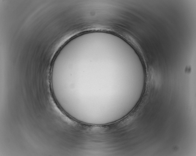 X0000112860847200909111507