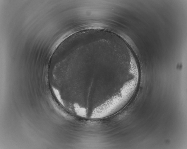 X0000112860850200909111507