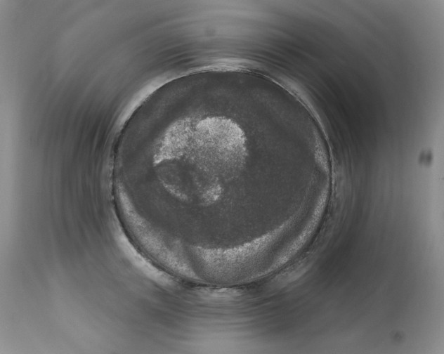 X0000112860851200909111507