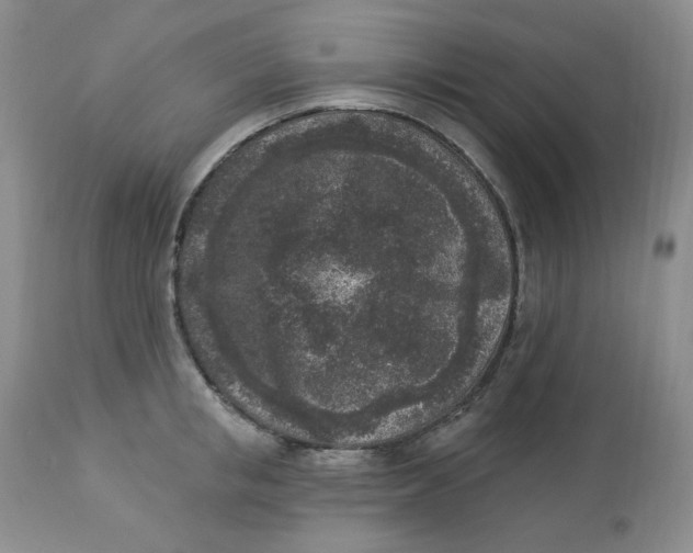 X0000112860853200909111507