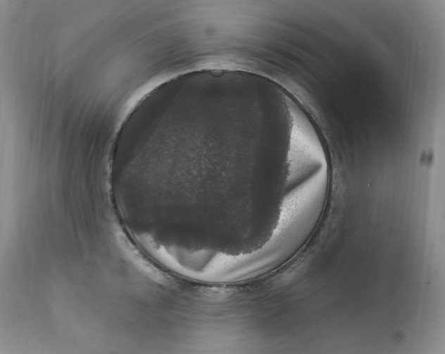 X0000112860854200909111507