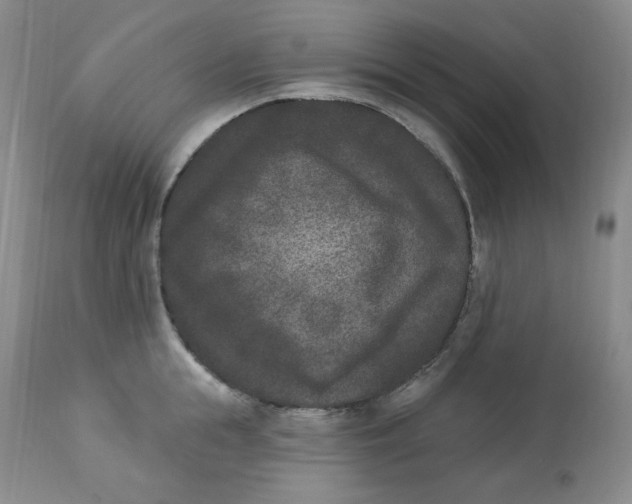 X0000112860855200909111507