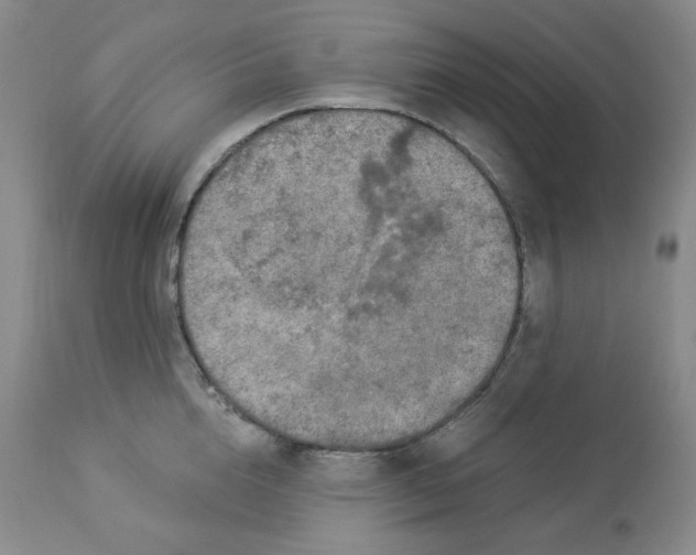 X0000112860856200909111507