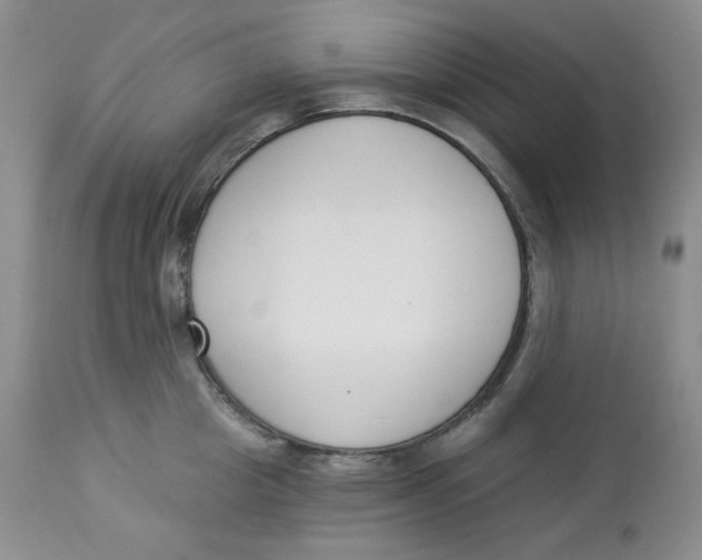 X0000112860857200909111507