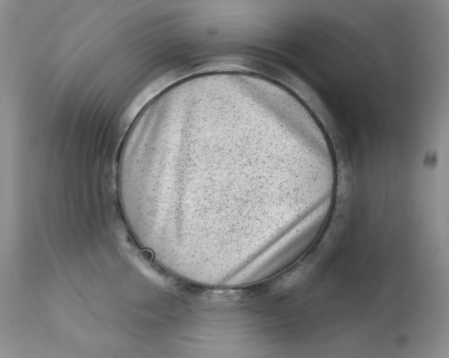 X0000112860858200909111507