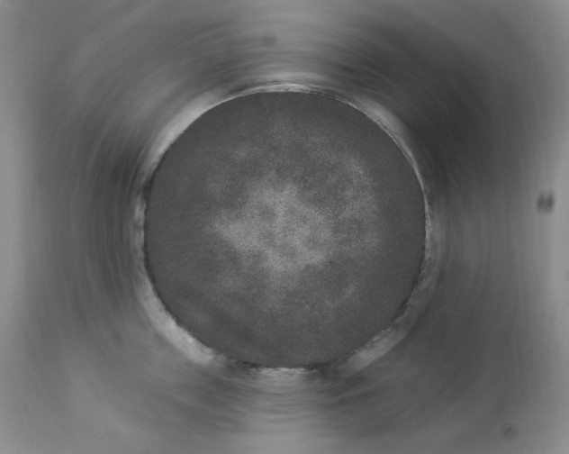 X0000112860859200909111507