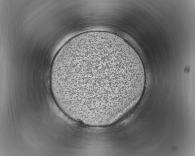 X0000112860860200909111507