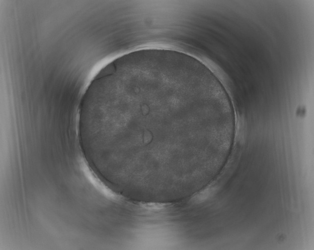 X0000112860862200909111507