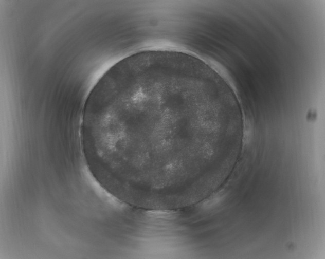 X0000112860863200909111507