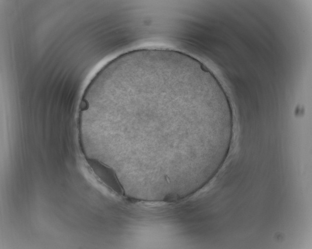 X0000112860864200909111507