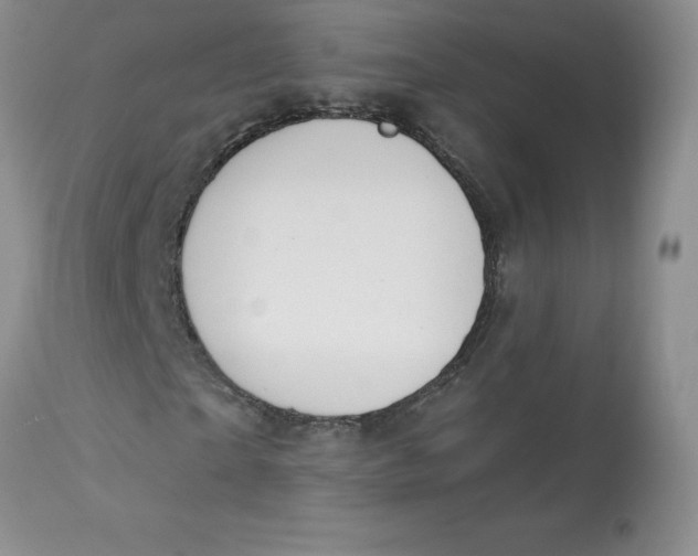 X0000112860865200909111506