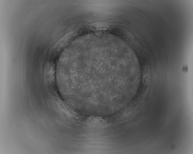 X0000112860866200909111506