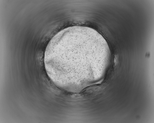 X0000112860867200909111506