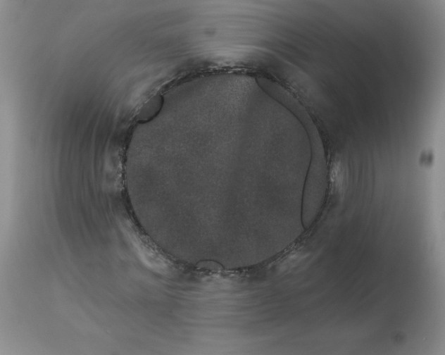 X0000112860868200909111506