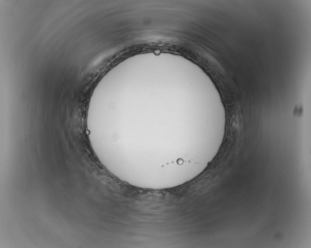 X0000112860869200909111506