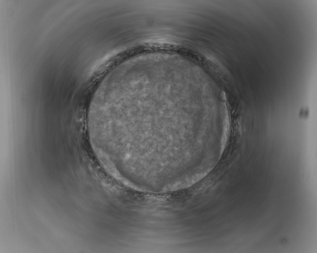 X0000112860870200909111506