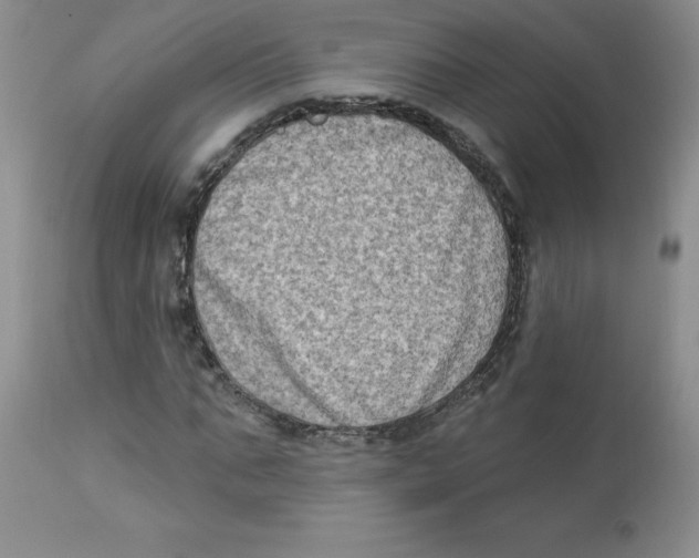 X0000112860871200909111506