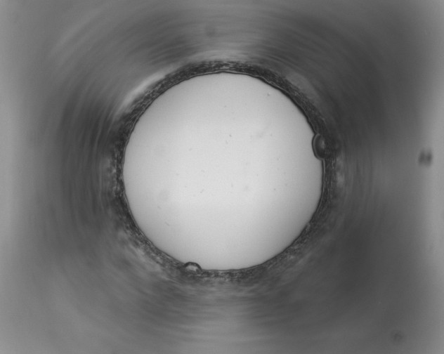 X0000112860872200909111506