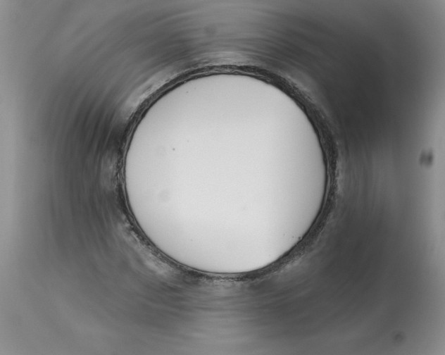 X0000112860873200909111506