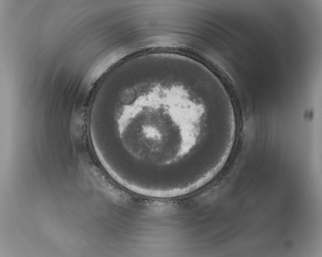 X0000112860874200909111506