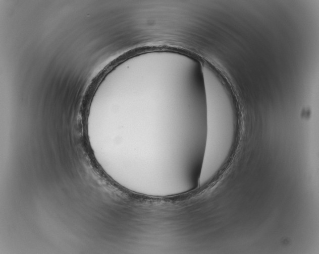 X0000112860876200909111506