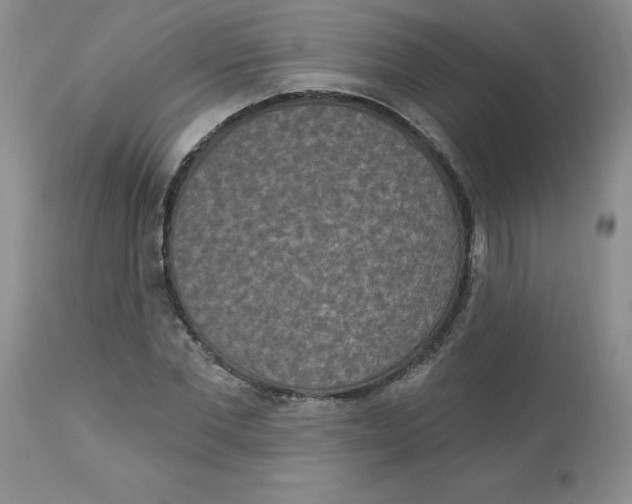 X0000112860877200909111506