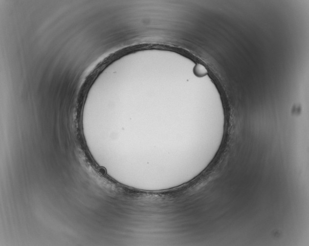 X0000112860880200909111506