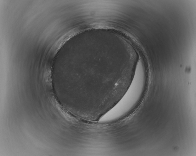 X0000112860881200909111506