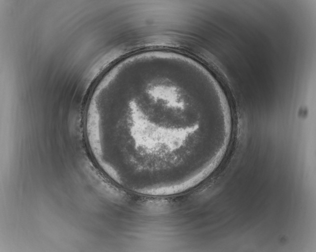 X0000112860882200909111506