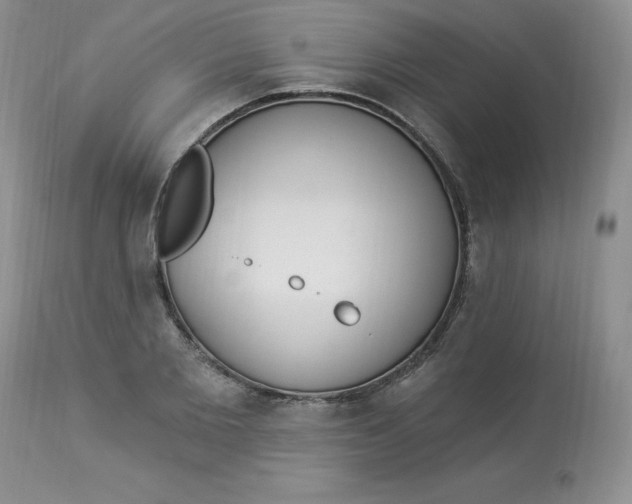 X0000112860885200909111506