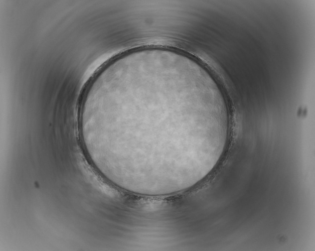 X0000112860886200909111506