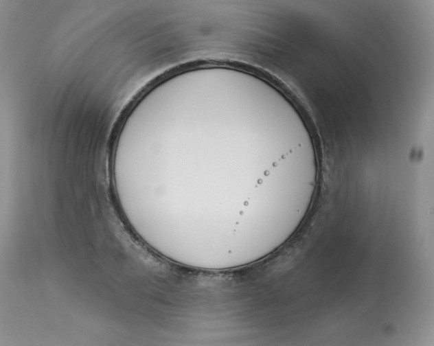 X0000112860887200909111506