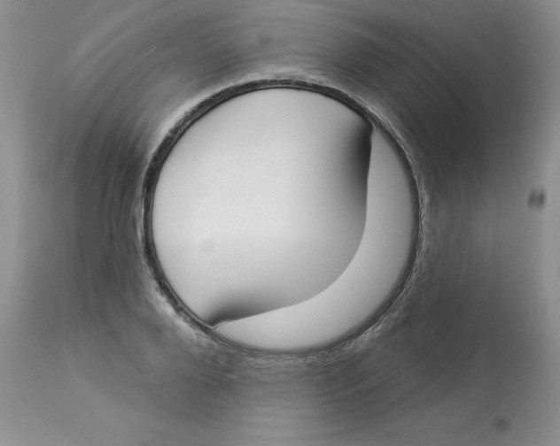 X0000112860888200909111506