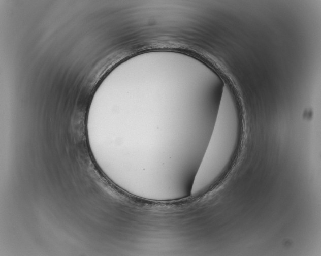 X0000112860889200909111506