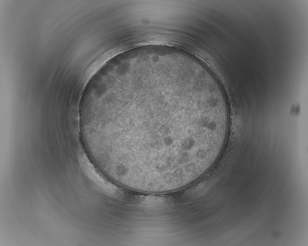 X0000112860890200909111506