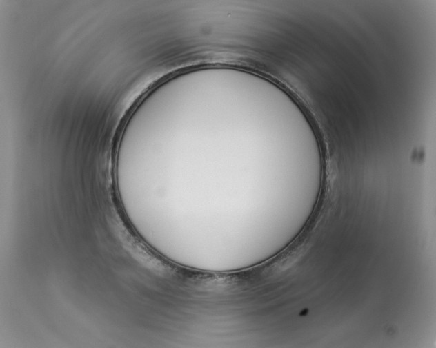 X0000112860891200909111506