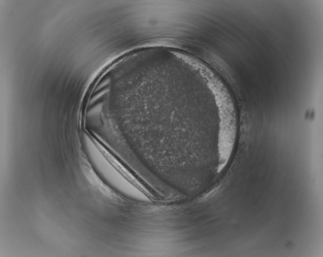 X0000112860892200909111506