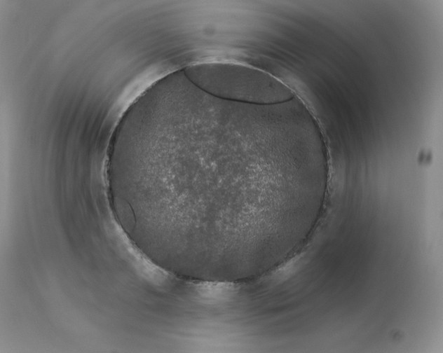 X0000112860893200909111506